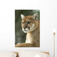 Close-Up Portrait of Captive Cougar Wall Mural