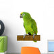 Amazon Parrot Wall Decal