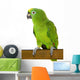 Amazon Parrot Wall Decal