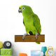 Amazon Parrot Wall Decal