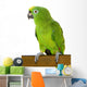 Amazon Parrot Wall Decal