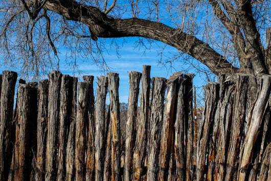 Nature Tree Branch Fence Wall Decal