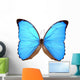 iridescent blue butterfly (morpho menelaus) Wall Decal