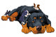 Rottweiler Family Wall Decal