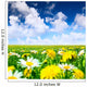 Meadow with flowers Wall Mural