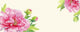 postcard peonies .watercolor flowers Wall Mural
