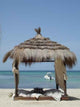 Nap Tunisian Wall Decal