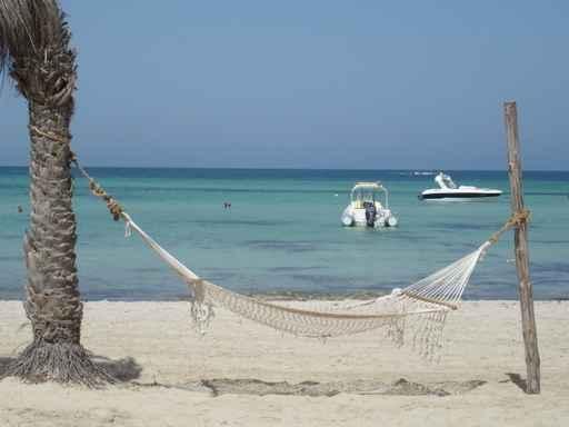 Hammock Beach Wall Decal Design 2