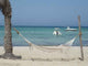 Hammock Beach Wall Decal Design 2