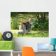 Cat Maine Coon in Walk Wall Mural