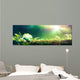 Green Globe Moss Environmental Wall Decal