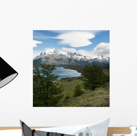 Torres Del Paine National Wall Decal