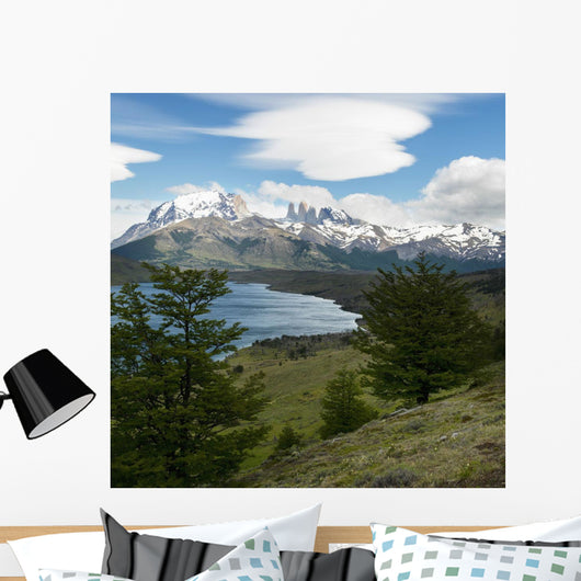 Torres Del Paine National Wall Decal
