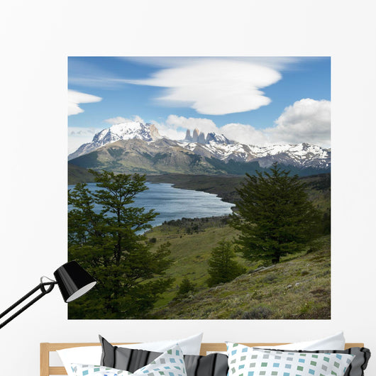 Torres Del Paine National Wall Decal