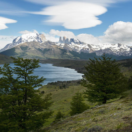 Torres Del Paine National Wall Decal