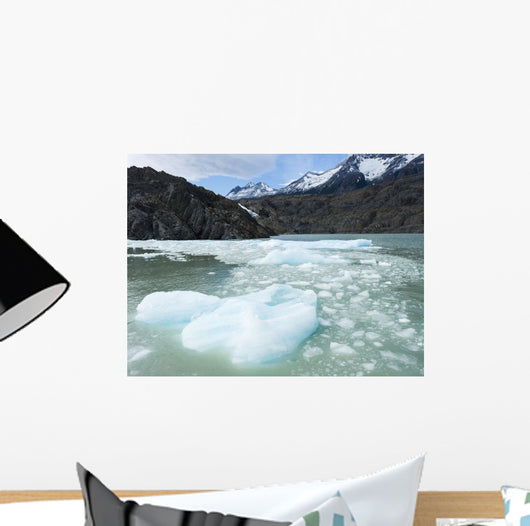 Southern Patagonian Ice Field Wall Decal