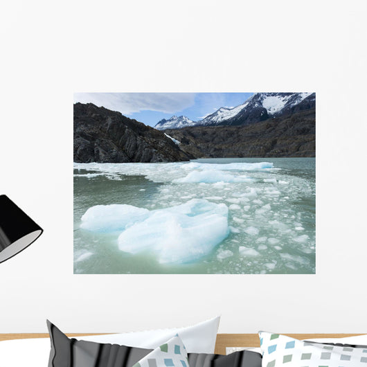 Southern Patagonian Ice Field Wall Decal