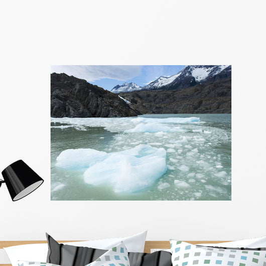 Southern Patagonian Ice Field Wall Decal