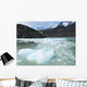 Southern Patagonian Ice Field Wall Decal