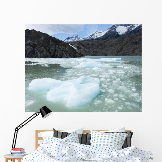 Southern Patagonian Ice Field Wall Decal