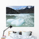 Southern Patagonian Ice Field Wall Decal