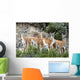 Guanaco Wall Decal Design 2
