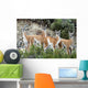 Guanaco Wall Decal Design 2