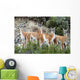 Guanaco Wall Decal Design 2