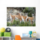 Guanaco Wall Decal Design 2