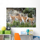 Guanaco Wall Decal Design 2