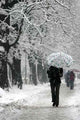 Snow New 3 Wall Decal Design 2