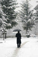 Snow New 3 Wall Decal Design 1