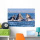 Humpback Whale Pod Wall Decal