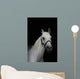 Arabian Pony Wall Mural