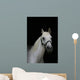 Arabian Pony Wall Mural