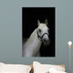 Arabian Pony Wall Mural