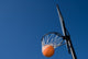 Basketball Goal