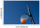 Basketball Goal