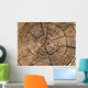 Tree Cut Texture
