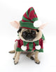 Embarrassed Elf Pug Wall Decal