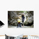 Canyon Wall Decal Design 1