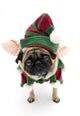 Dog Decals - Isolated Elf Pug Wall Decal