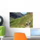 Hiking Trail Wall Decal