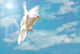 Flying White Dove Isolated on Blue Sky Wall Mural