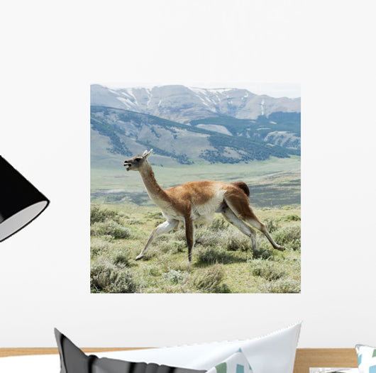 Guanaco Wall Decal Design 1
