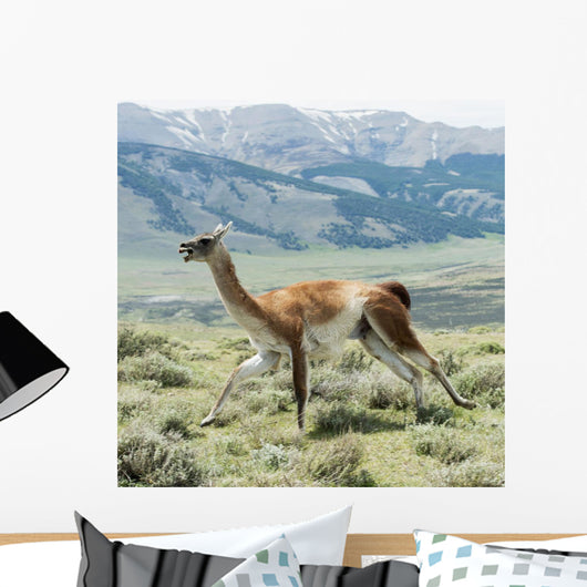 Guanaco Wall Decal Design 1