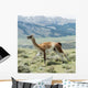 Guanaco Wall Decal Design 1