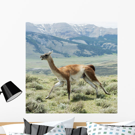 Guanaco Wall Decal Design 1