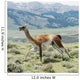 Guanaco Wall Decal Design 1