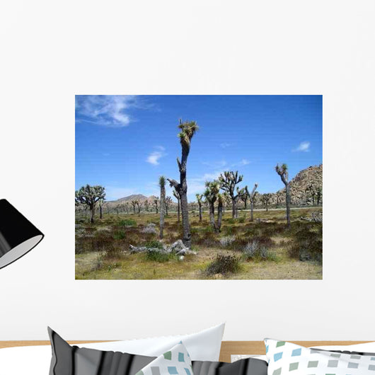 Desert 1 Wall Decal